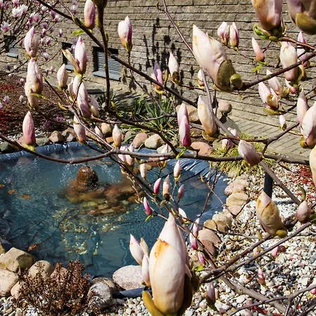 Magnolie Lägenhetshotell Warszawa